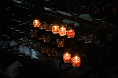 DSC_6190 (Large).JPG